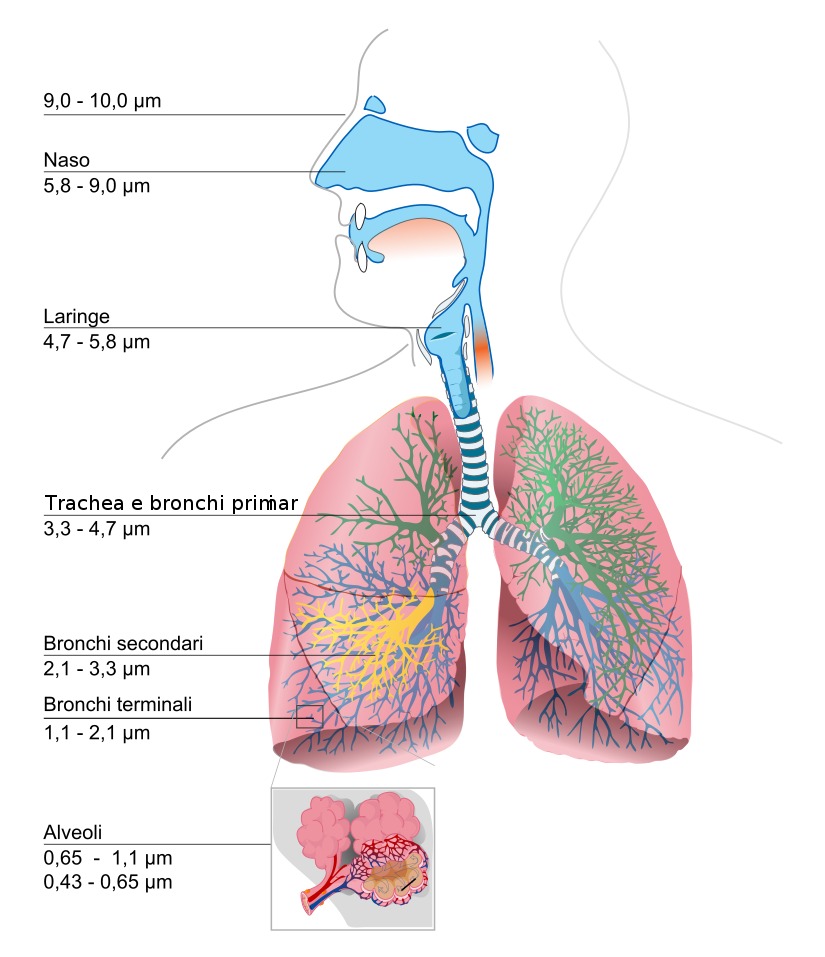 particulate_danger-it.jpg